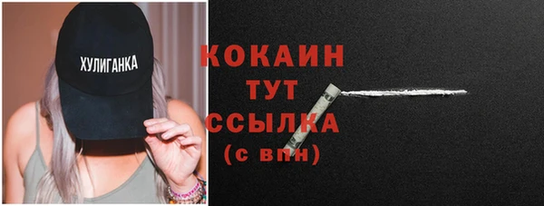 ПСИЛОЦИБИНОВЫЕ ГРИБЫ Костерёво