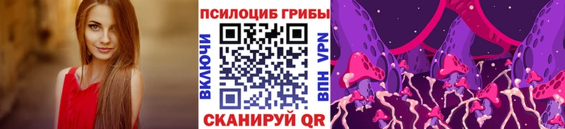 Купить  Кропоткин  Псилоцибиновые грибы Psilocybe 